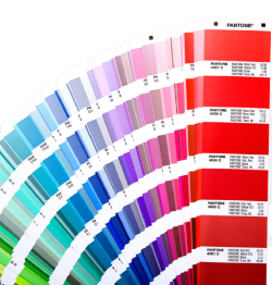 pantone-waaier_pms-kleur-nummers_emblemen-badges.nl_kopen_pms-waaier_kleurenwaaier