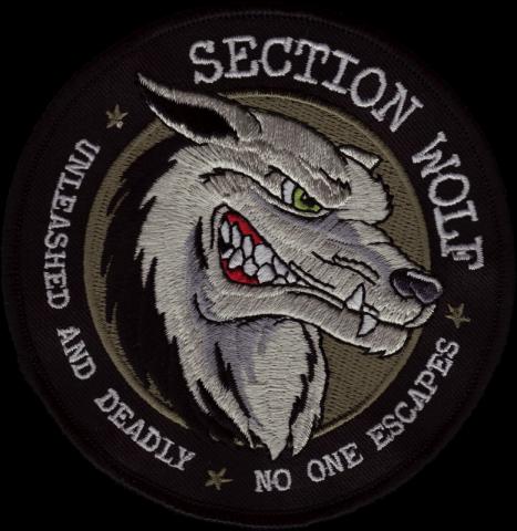 airsoft patches emblemen badges bestellen voorbeelden geborduurde airsoft patches 19