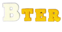 badstof chenille vilt varsity letters emblemen badges patches pro merchandise laten maken bestellen kopen 3