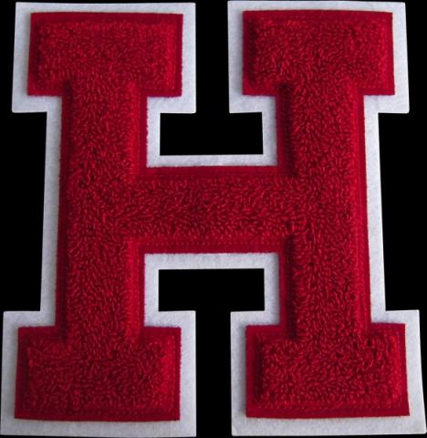 badstof emblemen badges varsity letters voorbeelden bestellen 3