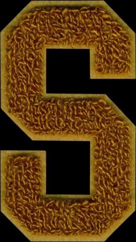 badstof patches bestellen voorbeelden vilt emblemen varsity letters badges 3
