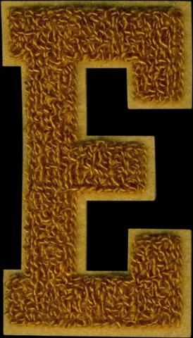badstof patches bestellen voorbeelden vilt emblemen varsity letters badges 4