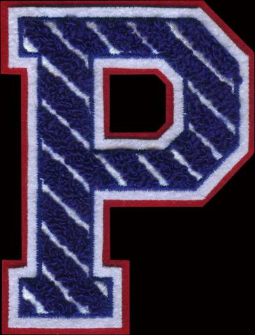 badstof vilt varsity letters emblemen 18