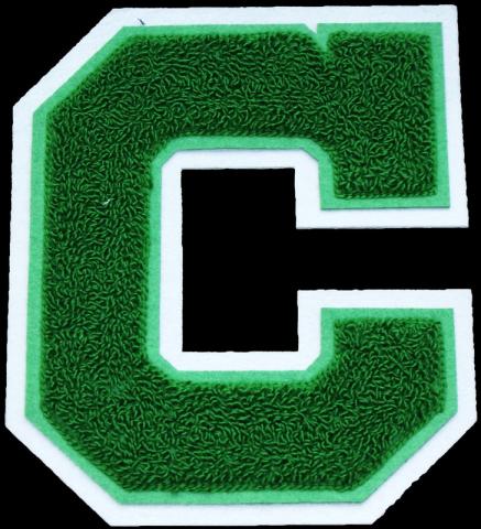 badstof vilt varsity letters emblemen 2