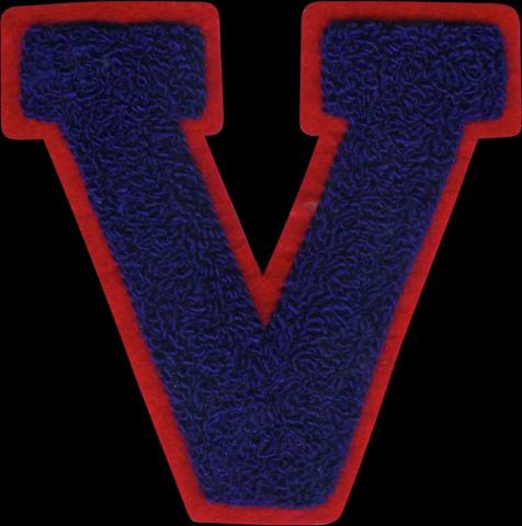 badstof vilt varsity letters emblemen 22