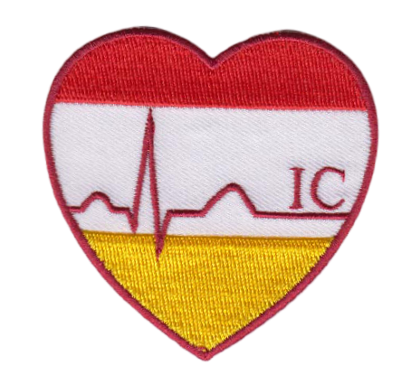 carnaval emblemen badges patches bestellen embleems laten maken kopen bestlellen 4