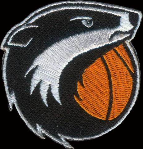 emblemen badges geborduurde sport emblemen borduren badges bestellen basketbal