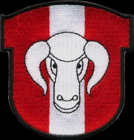 emblemen badges geborduurde sport emblemen borduren badges bestellen crossfit 74
