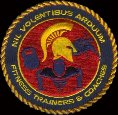 emblemen badges geborduurde sport emblemen borduren badges bestellen crossfit 89