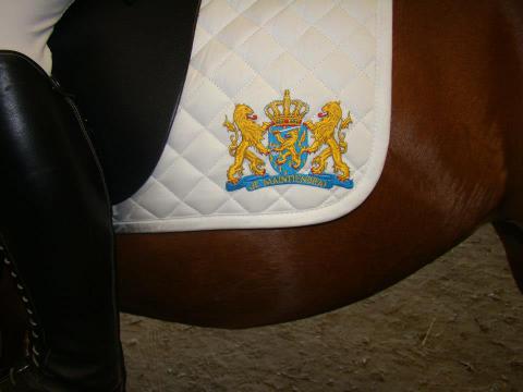 emblemen badges patches i badge pro merchandise bestellen laten maken kopen borduren paardendekje