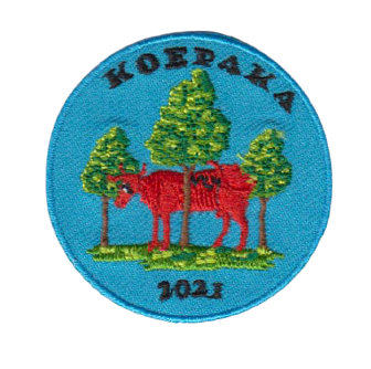 emblemen badges patches pro merchandise embleemkes insignes bestellen laten maken zomer kamp thema 10