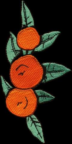 geborduurde emblemen laten borduren badges patches bestellen insignes 21