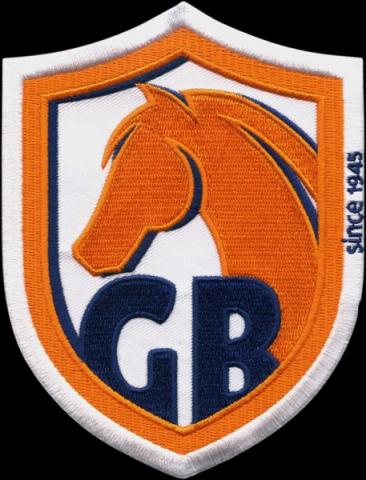 geborduurde emblemen laten borduren badges patches bestellen insignes 42