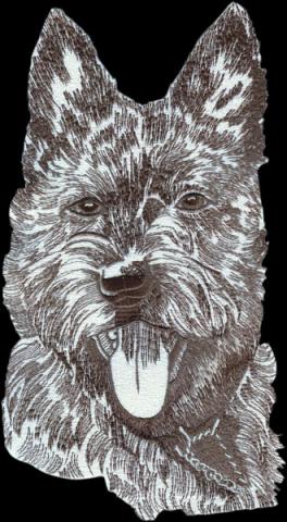 grote rugemblemen borduren backpatch bestellen emblemen badges patches op maat 2