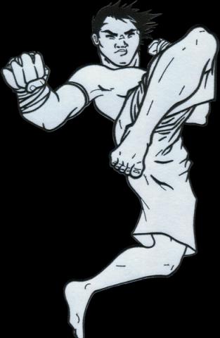 grote rugemblemen borduren backpatch bestellen emblemen badges patches op maat 6