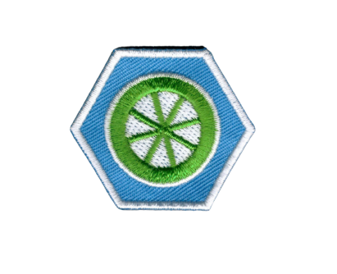 insigne scouting welpenscouts spoorzoeken insigne-laten-maken kopen- 0