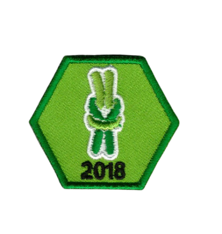 insignes scouting touw-knopen groen vaardigheidsinsignes laten-maken