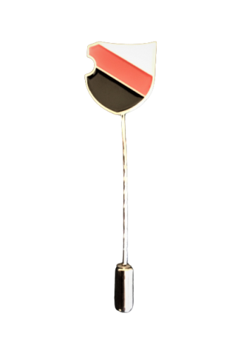 pins speldjes gedrukte-speldjes 2d 3d klassieke-speldjes emaille hard-zacht epoxy-relief pin ere-speldjes op-maat kopen-bestellen 13