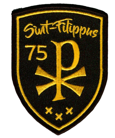 scout scouting emblems badges order insignia 29