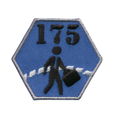 scouting badges insignes emblemen vlag-asten maken kopen vaardigheidsinsignes 6