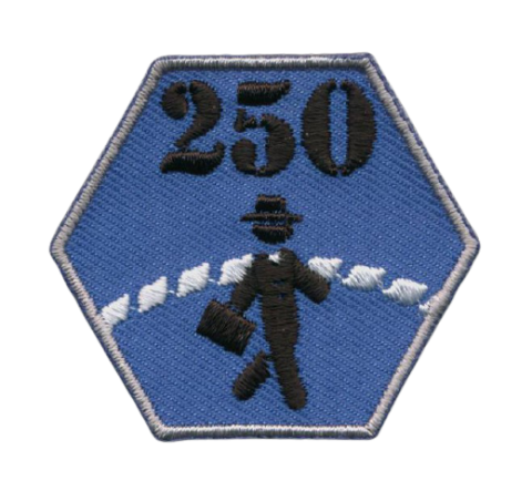 scouting badges insignes emblemen vlag-asten maken kopen vaardigheidsinsignes 8