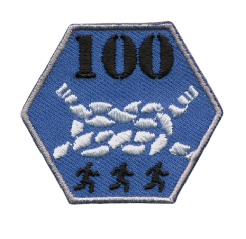 scouting badges insignes emblemen vlag-asten maken kopen vaardigheidsinsignes touw