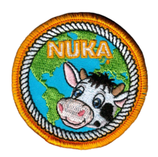 scouting chiro insignes emblemen badges patches laten maken bestellen 17