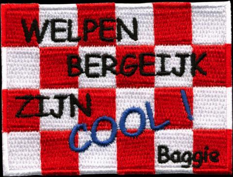 scouting emblemen badges insignes lintjes laten borduren bestellen 58