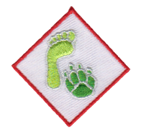 scouting scouting-badges-patches boyscouts insignia flag-emblem shoulder-emblem tiger-scout wolf-scout bear-scout bsa cutom-made-scouting-insignia 6